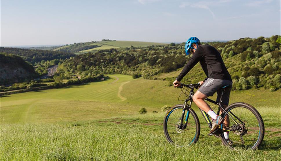 Queen Elizabeth Country Park cycling